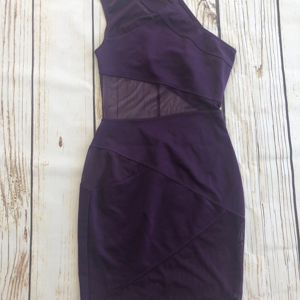Sexy sheer Purple dress